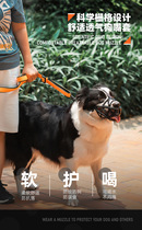 Russian import of terror to blame for embarrassing anti-bite mask can be adjusted for medium large canine with Dubin dog mouth cover