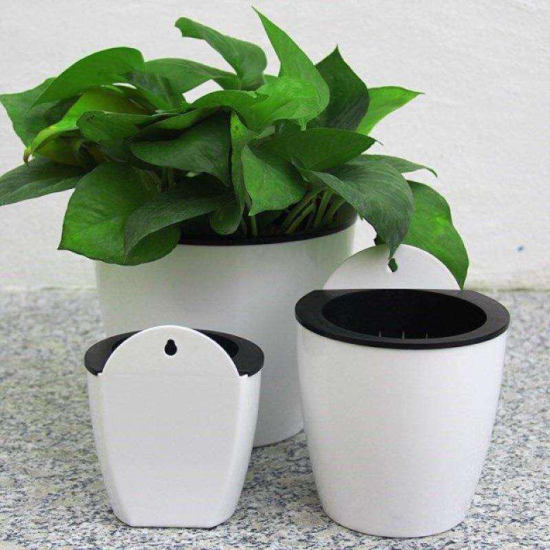 Self-absorbent sloth flower pot hydropony wall-mounted automatic green loo small flower pot semi-circular plastic generation one generation hair-Taobao