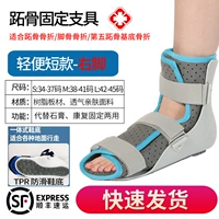 Shoshi Bone Model-правая нога