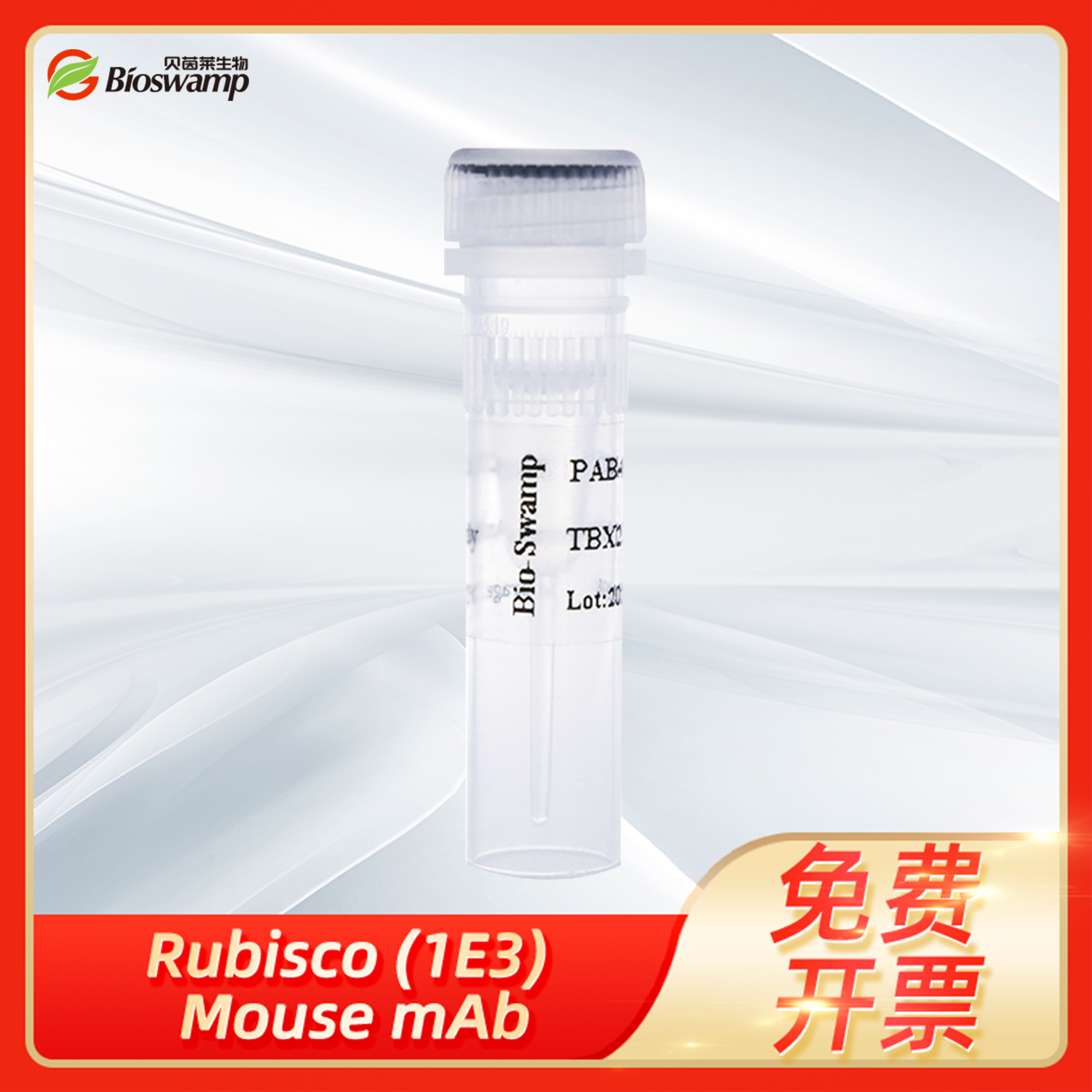Bioswamp/贝茵莱串联亲和纯化内参抗体Rubisco (1E3) Mouse mAb