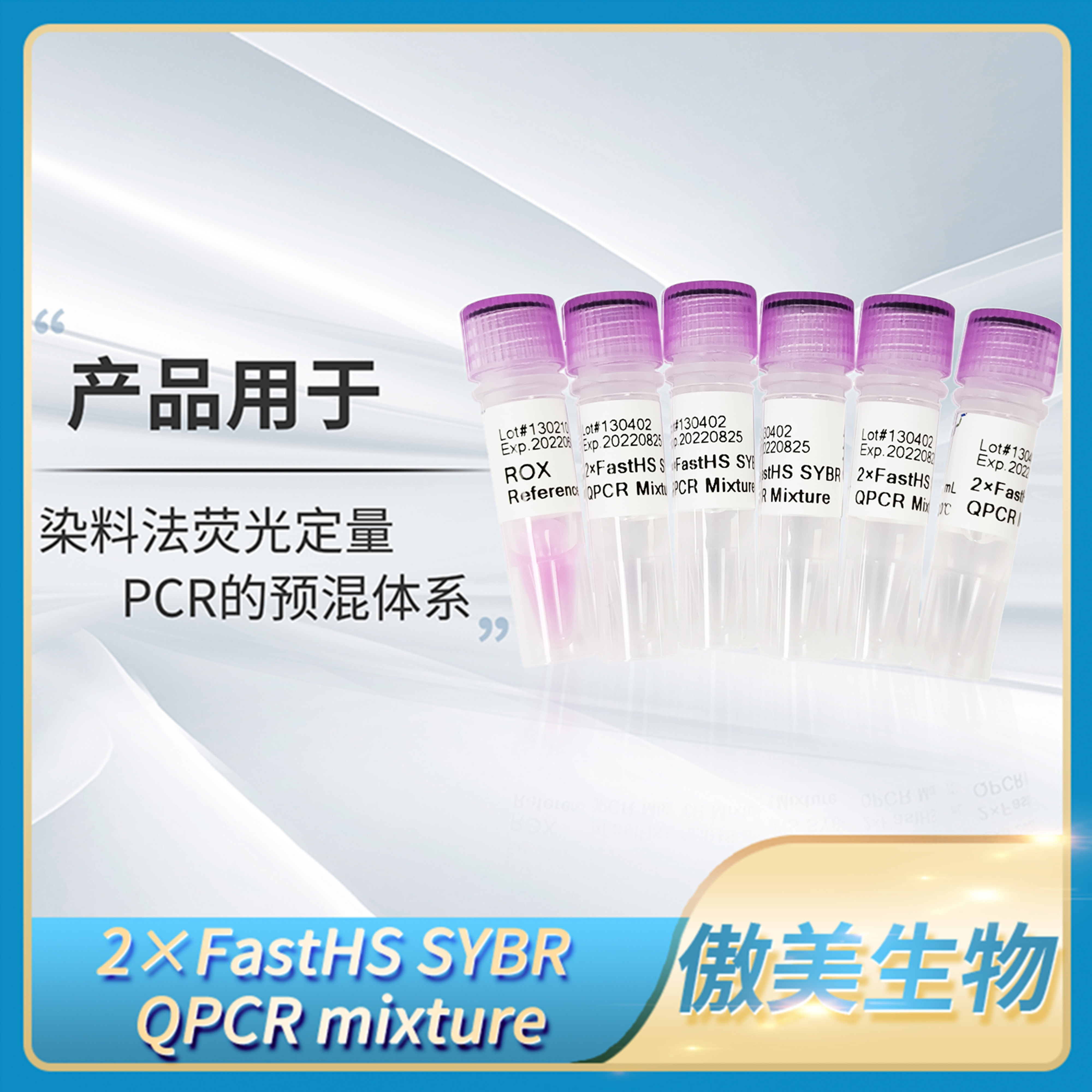 ALLMEEK傲美2xFastHS SYBR QPCR Mixture染料法荧光定量PCR预混液
