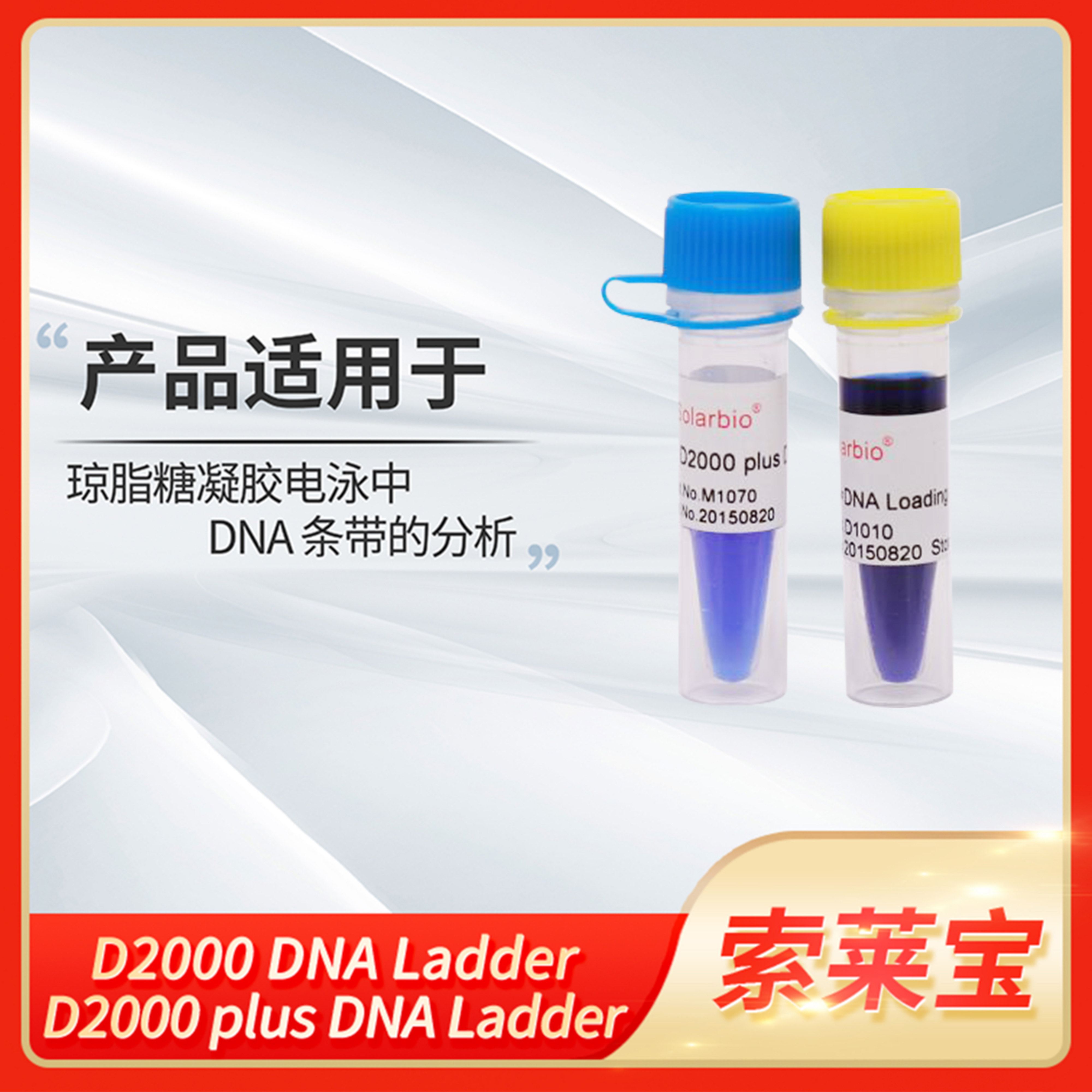Solarbio索莱宝D2000 DNA Ladder plus琼脂糖凝胶电泳DNA条带分析