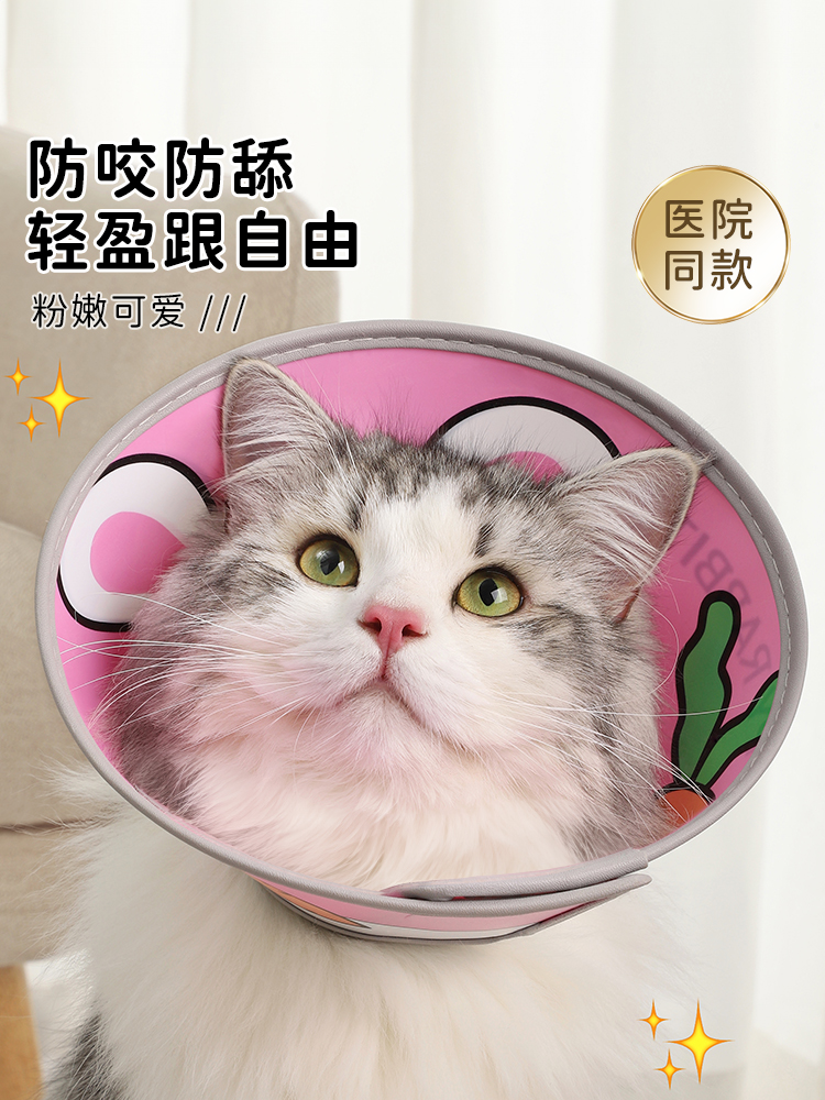<!--伊丽莎白圈猫绝育项圈防舔除跳蚤英短猫咪脖圈颈圈头套狗宠物用品-->