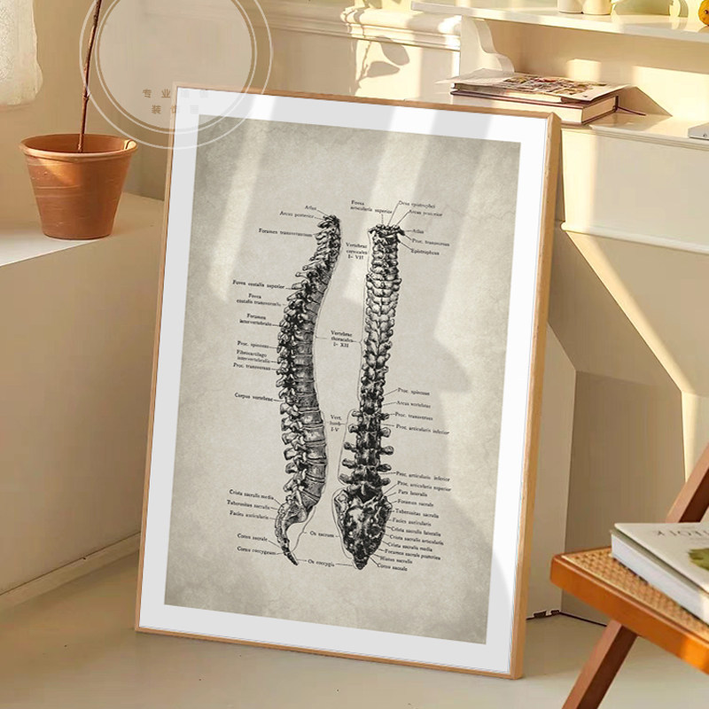 Pilates Personal Trainer Wall Art, Yoga Studio, Postpartum Recovery Center, Spinal Correction Decorative Painting, Chanrou Studio Mural