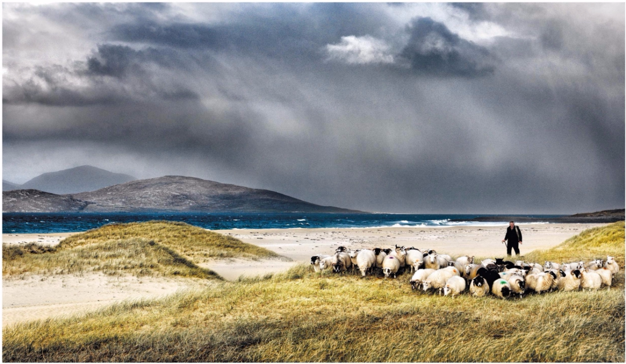 Баррет материал 正品harris tweed哈里斯粗花呢布料天蓝格纹diy服饰箱包配饰