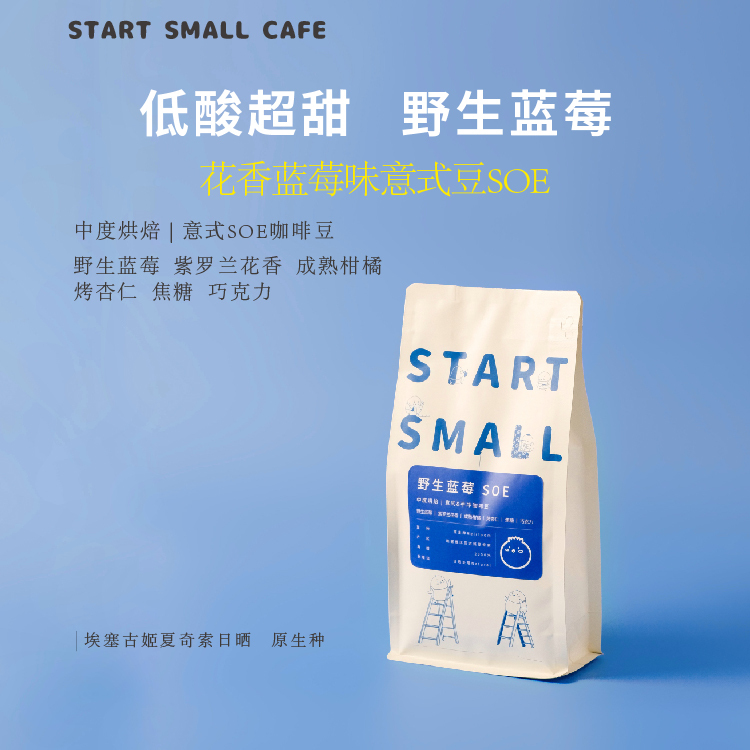 Wild Blueberry Soestartsmall Italian-Style Blueberry Coffee Beans 2025 New Crop Espresso Beans 454g Medium Roast Wild Blueberry Soestartsmall Italian-Style Blueberry Coffee Beans 2025 New Crop Espresso Beans 454g Medium Roast