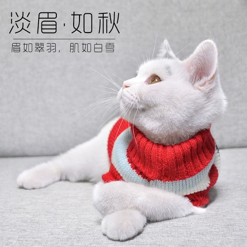 Свитер, демисезонный цветной зимний удерживающий тепло пуховик