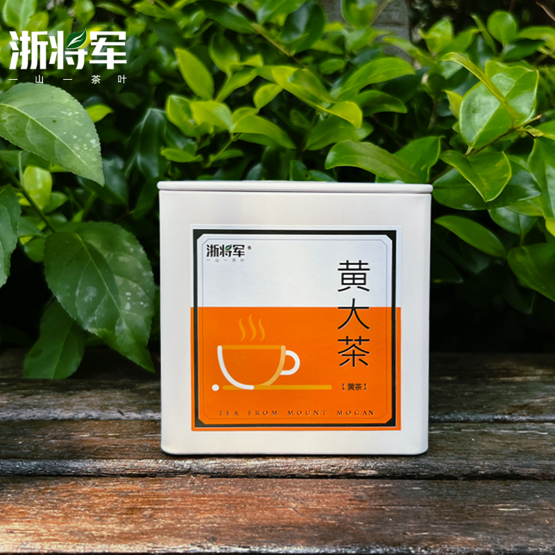 浙将军莫干黄芽黄大茶鲜甜醇爽微发酵半手工莫干山特产小罐装茶叶