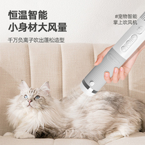 Laiwang Brothers 10 points smart dog smart hair dryer quick-drying hair blowing artifact cat hair comb pet hair drying mute