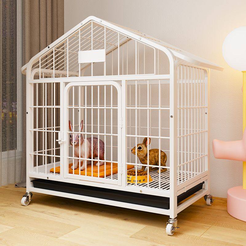 The top choice for home rabbit raising! 🏠 