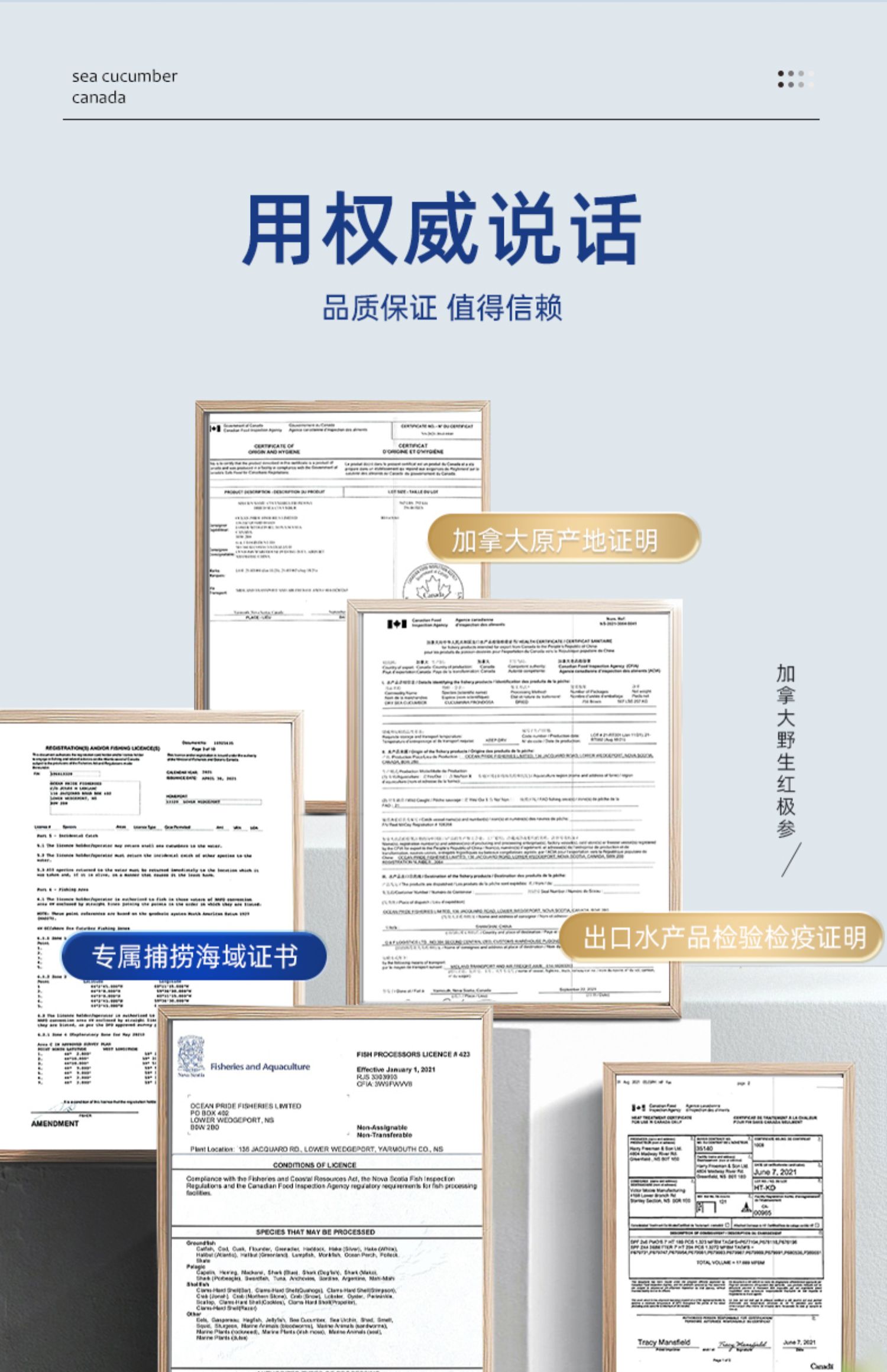 欧参力得 加拿大进口 OPF野生淡干北极海参 18g（2~3只试吃装）天猫优惠券折后￥24.9包邮