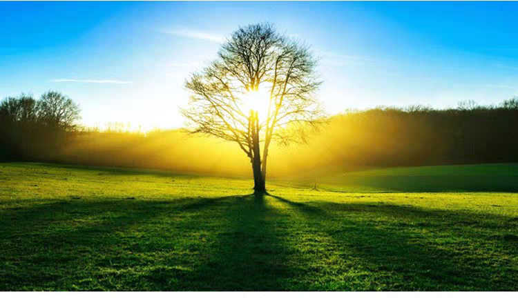 PS灯光工厂插件Knoll LightFactory炫光太阳光滤镜中文版 win ps2015-2024