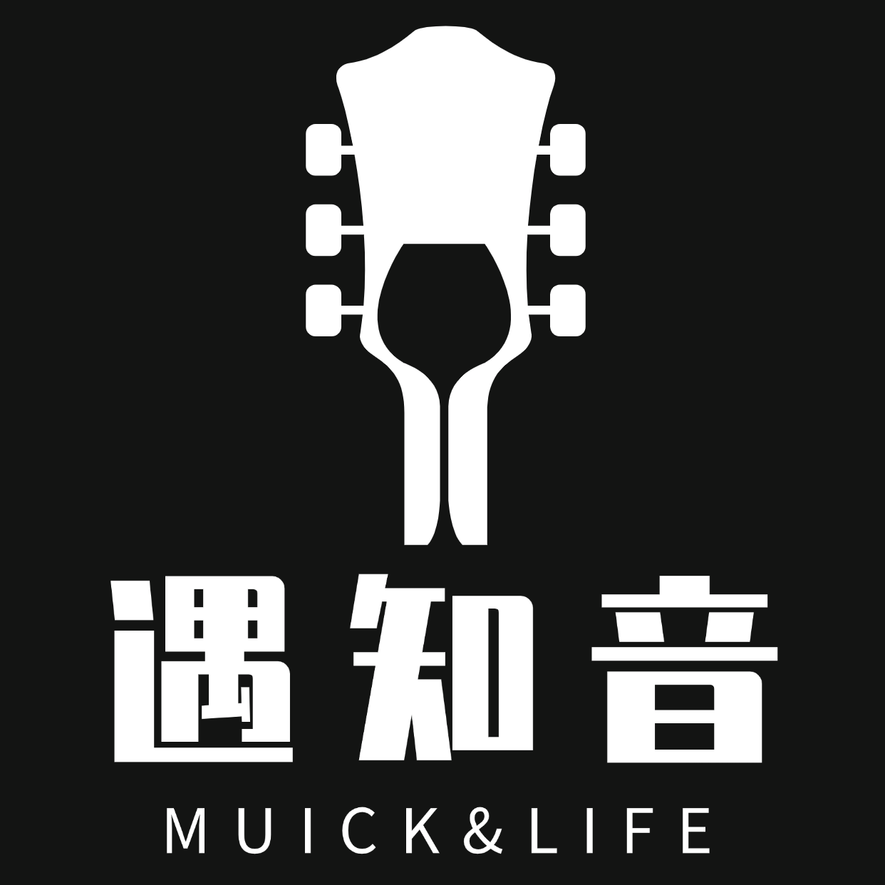 遇知音乐器