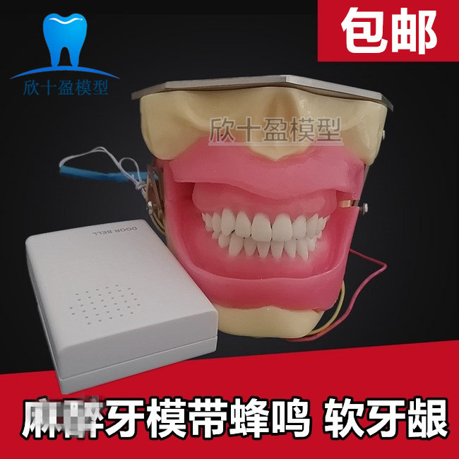 牙科口腔练习麻醉拔牙模型 带蜂鸣器模型 口腔练习软牙龈麻醉牙模