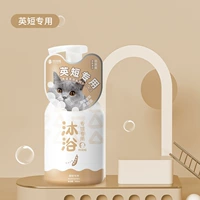 Генеральная британская короткошерстная особая