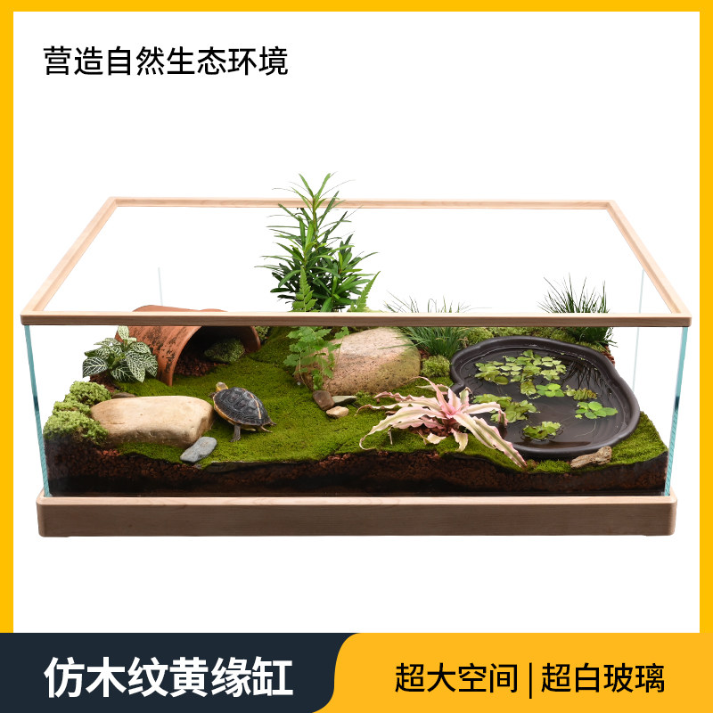 Photo inspiration: Fresh Look at Mengduoli Semi Aquatic Turtle Breeding Box For Home Yellow Edged