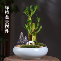 Wenzhu Micro Landscape Green Plant potted plant Merchants indoor office Desktop Pendulum Piece Decoration Purifying Air Four Seasons Evergreen