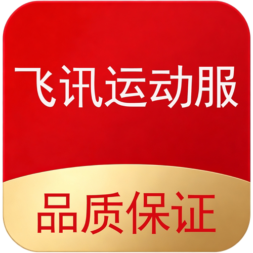 飞讯启航店