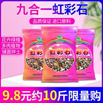 Succulent full-grain soil iridescent stone plant paving stone planting rainbow stone orchid nutrition soil volcanic rock Maifan stone
