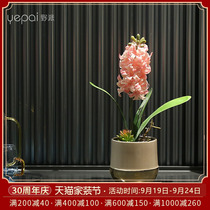 High-end light luxury fake flowers hyacinth artificial flowers living room decoration home furnishings dining table jewelry decoration coffee table floral art