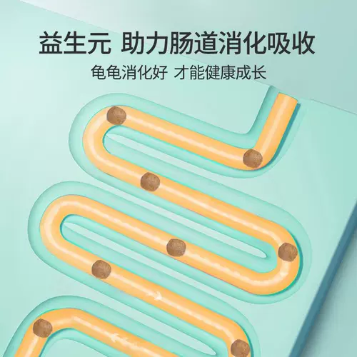 Китайская черепаха с черепахой кормил малые черепахие чернила черепаха молодая черепаха Универсальное полуотер зерно зерно