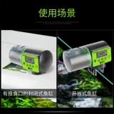 Рыбная резервуар автоматическое кормление интеллектуальное время