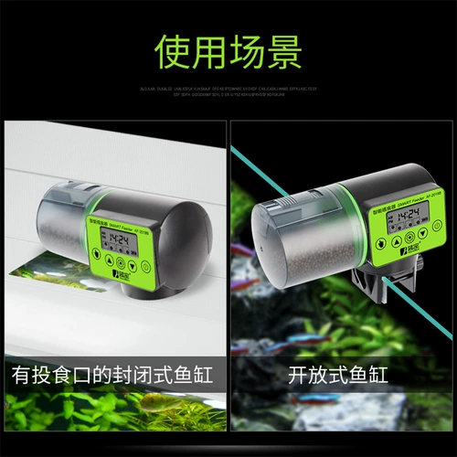 Рыбная резервуар автоматическое кормление интеллектуальное время