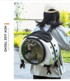 Чемодан, тележка, портативный космический рюкзак для выхода на улицу, домашний питомец, кот