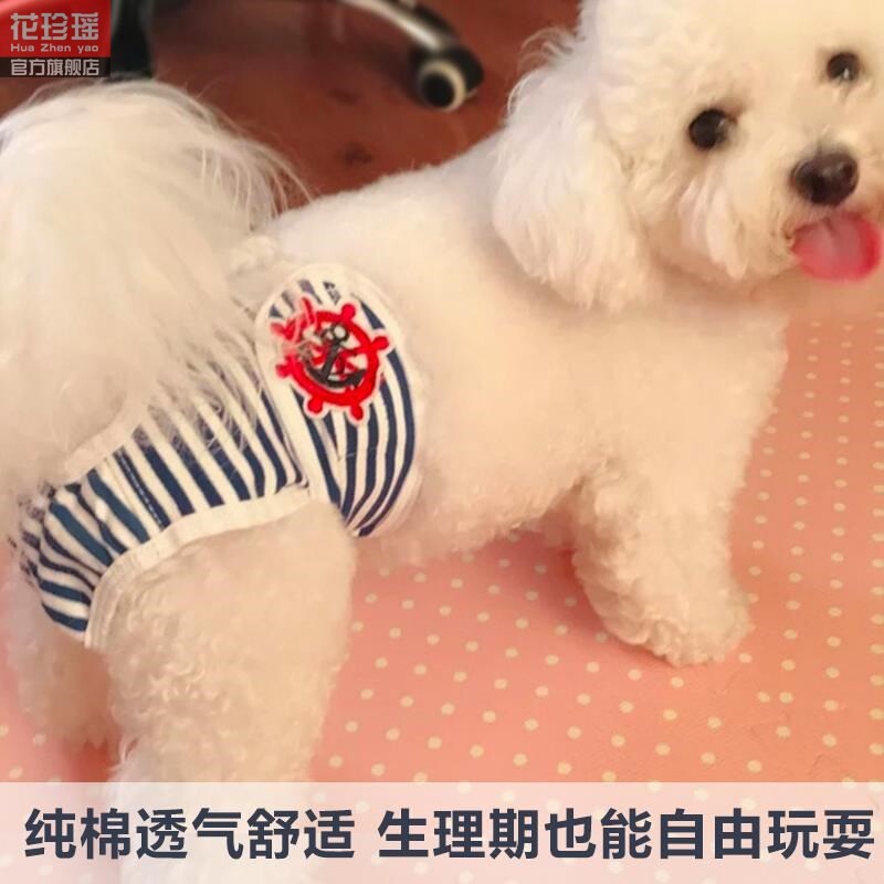 Things Dogs Pure Cotton Warp Physio Pants Kokie Autumn Dog Fields Farduel Pamper Teddy Safety Mommy Pants Mother Pregnant Aunt Pants-Taobao