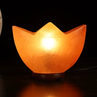 Парусный спорт