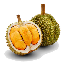 AGDR Blackthorn durian Zhengzong D200 жидкий азот замороженный малазийский Penang Import Fresh