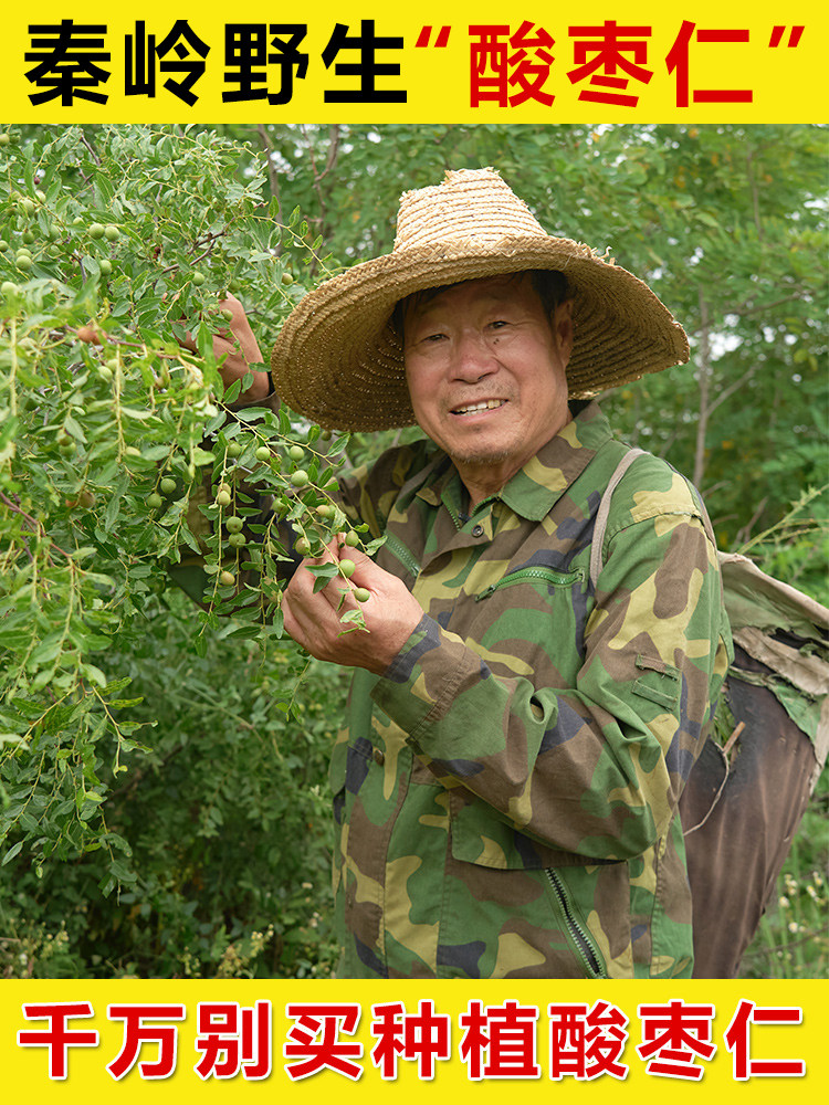 Wild Jujube Seed Seeds 500g can be used with Poria cocos, non-Tongrentang can be ground and fried