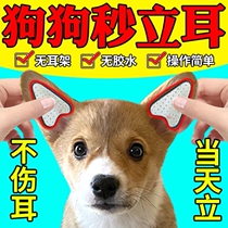 Puppies Liar deity Ears Despatch Dubines Dog Assist Ear Patch Large Small Puppies Erect Ear Assistive Devices Correction