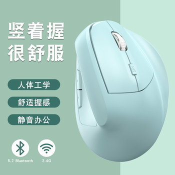 Ergonomic Vertical Computer Mouse, Rechargeable, Wireless Bluetooth Dual-Mode 2.4g, Large Mouse for Laptops, Handheld for Office Use