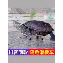 Turtle Scooter Fingertip Mini Toy Parrot Skateboard Model Pendant Douyin Same Style Internet Celebrity Pet