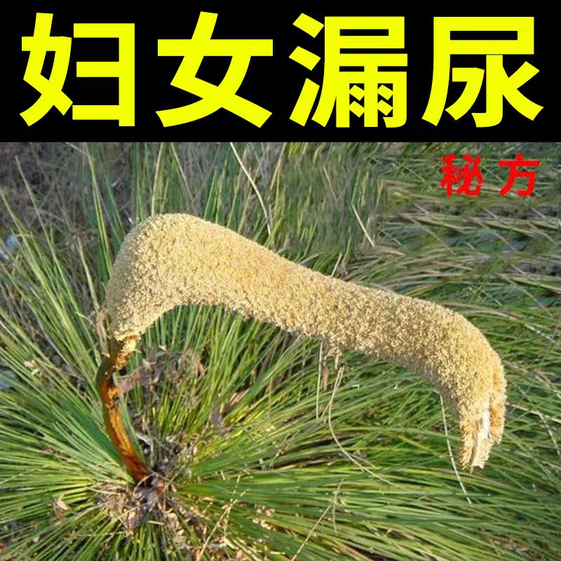 (Urine leakage treatment on the same day) Postpartum middle-aged and elderly women leakage repair medicine patch cough and sneeze leakage nemesis XH