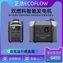 EcoFlow正浩220V大容量功率汽油液化气双燃料智能发电机应急备用