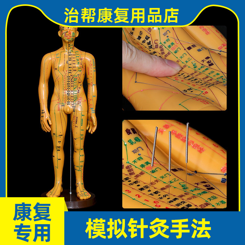 人体模型小人针灸穴位人体模型铜人高清中医经脉经络医学全身硅胶
