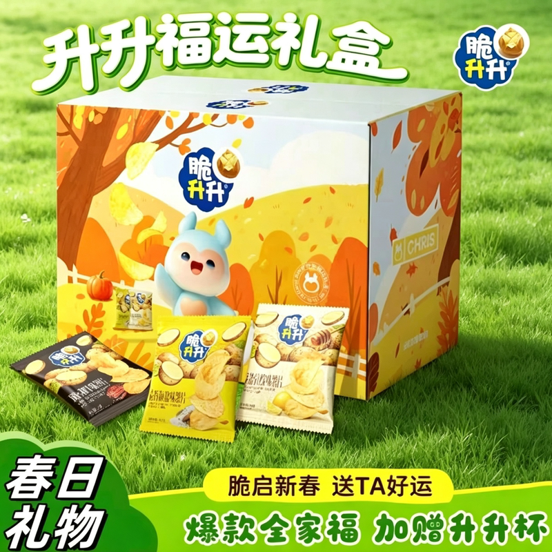 Crispy Good Luck Gift Box/Warmth-In-A-Hug Gift Box: Potato Chips, French Fries, Potato Snacks, Camping Spring Outing Gift Pack