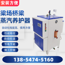 Concrete cement prefabricated parts curing steam engine 48kw beam field electric heating health care equipment industrial oil boiler