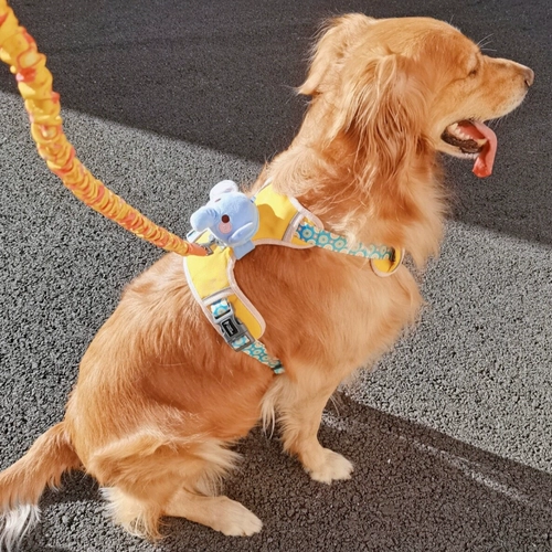 Милая майка топ, подтяжки для выхода на улицу, цепочка, популярно в интернете