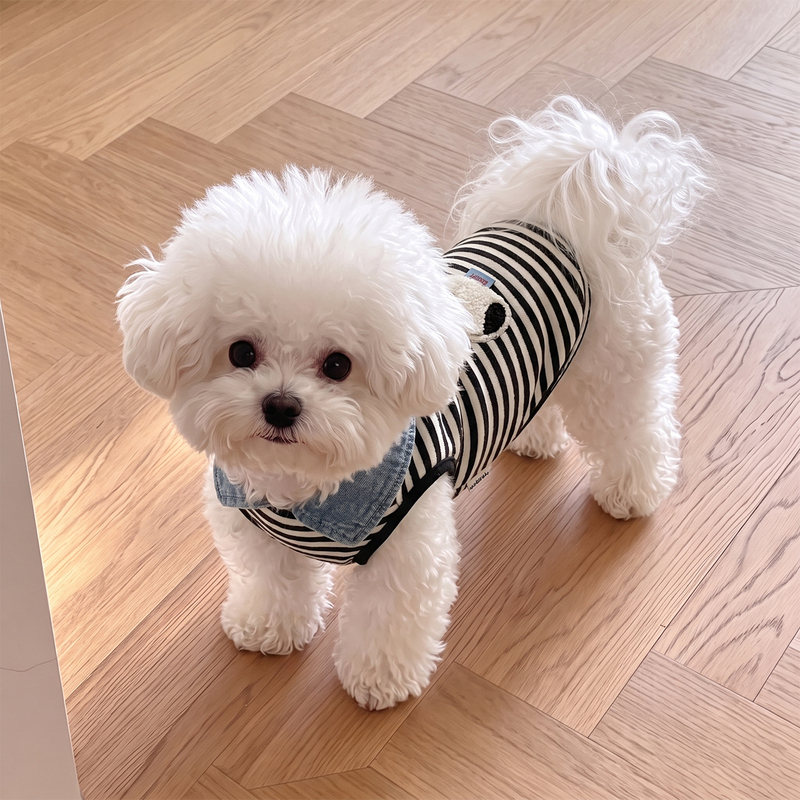 Cute Dog Clothes for Autumn and Winter, Striped Vest for Small Dogs, Teddy, Bichon, Cat Clothes, Anti-Shedding, Anti-Cold Cute Dog Clothes for Autumn and Winter, Striped Vest for Small Dogs, Teddy, Bichon, Cat Clothes, Anti-Shedding, Anti-Cold
