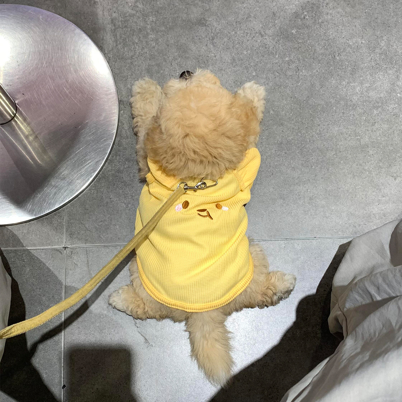 Pet Dog Clothes for Small Dogs Like Bichon Frise and Teddy, Kitten Clothes, Anti-Shedding, Thin Style, Can Be Used with a Leash, 2025 New Model