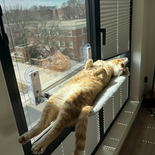 Всасывание окна чашка кошачья гамак гнезд четыре сезона универсальный подвесной балкон солнечный артефакт