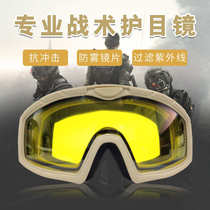 Manufacturer US military tactical glasses double layer anti-fog and shock helmet shooting goggle windproof sand field CS equipment