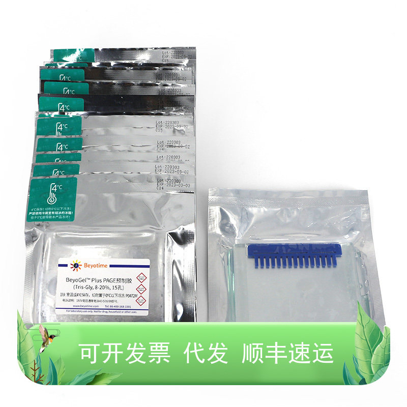 BeyoGel? Plus PAGE预制胶(Tris-Gly, 8-20%, 15孔)