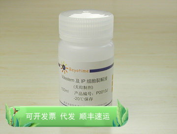 Western及IP细胞裂解液(无抑制剂) P0013J 碧云天生物 Beyotime