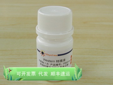 Western转膜液 P0021A 碧云天生物 Beyotime