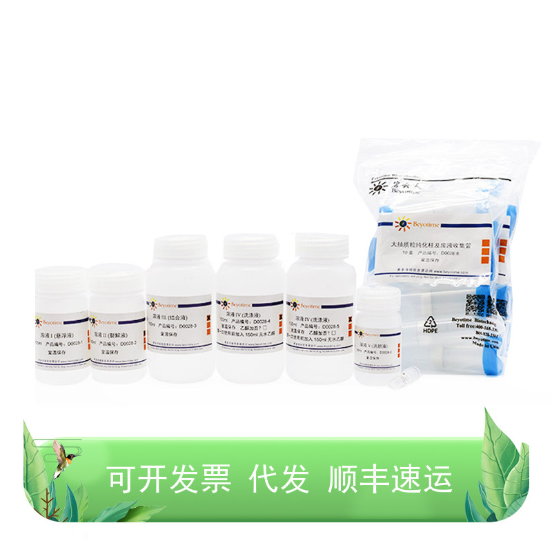 质粒大量抽提试剂盒(通用型)