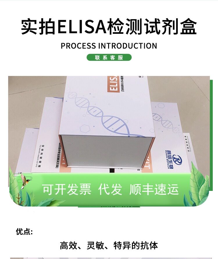 睿信人小鼠大鼠豚鼠兔猴山羊马牛猪鸡狗酶联免疫吸附检测盒